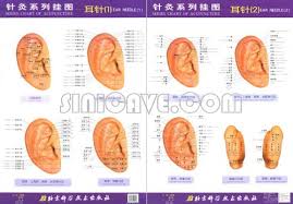 Series Chart Of Acupuncture Ear Needle Series Chart Of