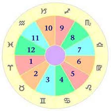 Astrology How To Read Your Birth Chart The Houses