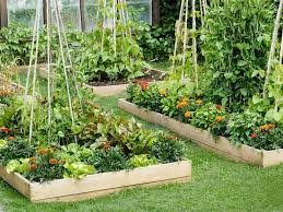 Raised bed vegetable garden planting plans. All About Raised Bed Gardens This Old House