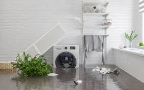 Water Damage Clean Up Professional
