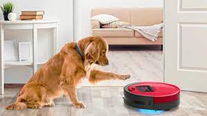 robot vacuum if you have pets that shed