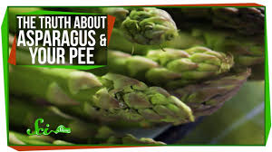 the truth about asparagus and your