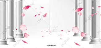 wedding background rose petal petals