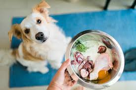How Much Food Should I Feed My Dog On A Raw Diet