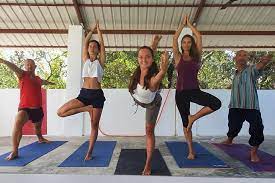 the 10 best yoga teacher training in
