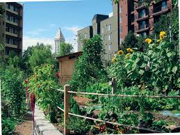 Fundamental Truths About Urban Farming