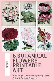 set of 6 free printable botanical