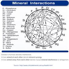 Mineral Wheel Mineral Interaction Mosa Nutrionomics