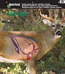 Shot Placement Deer Deer Hunting Tips Hunting Tips Deer