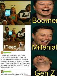 From highest to lowest, extremist gen zs are the type to go. Gen Z Humour Really Be Wierd Tho Memes