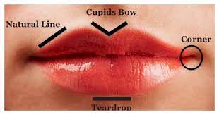 lips and how to make them flawless