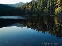 Bildergebnis für dunkler see