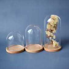 miniature glass dome display bell jar