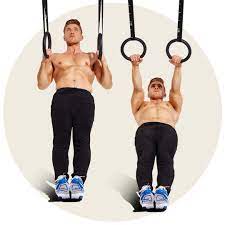 gymnastic rings for building muscle