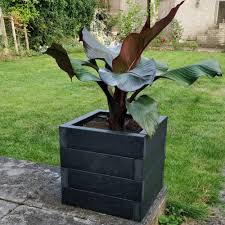 a recycled plastic cube planter