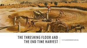 threshing floor