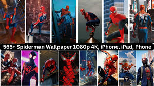 spiderman wallpaper 1080p 4k iphone