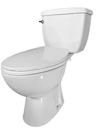 A toilet is a place the queen never has to. American Elongated Rear Outlet P Trap 2 Piece Toilet Kit Amazon Com