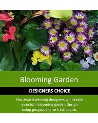 Blooming Garden Daily Deal In