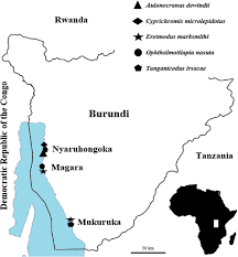 Rice and subsistence crops are grown along the shores, and fishing is of some significance. Map Of Lake Tanganyika Blue Indicating The Localities Of Sampling Download Scientific Diagram