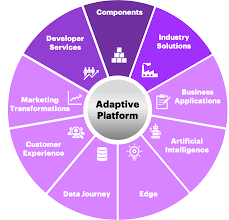 Accenture Introduces the Adaptive Platform | Adaptive Developer Portal