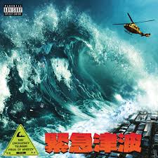 Tsunami are waves caused by sudden movement of the ocean surface due to earthquakes, landslides on the sea floor, land slumping into the ocean, large volcanic eruptions or meteorite impact in the ocean. Emergency Tsunami Nav Amazon De Musik Cds Vinyl