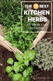 7 Best Herbs To Grow For Cooking At