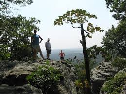 picture of shawnee national forest