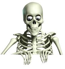 royalty free skeleton images