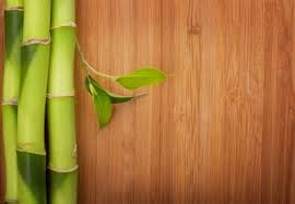 get bamboo floor repair schedule