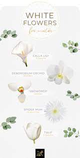 40 types of white flowers ftd com
