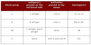 Basic Genotype Chart Blood Groups Blood Red Blood Cells