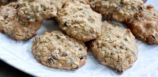 oatmeal raisin cookies recipe bowflex