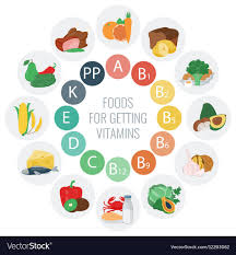 Vitamin Food Sources Colorful Wheel Chart With