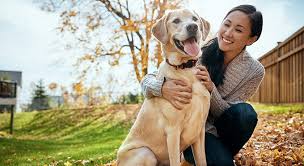 10 ways to show love to your dog when