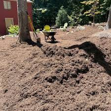 top 10 best soil delivery in durham nc
