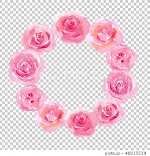 pink rose frame round shape stock