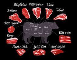 beef cuts chart images browse 1 829