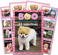 Happy valentine's day funny little chihuahua dog b…. Amazon Com Boo The World S Cutest Dog 32 Valentines Classroom Exchange Cards Office Products