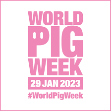 World Pig Week