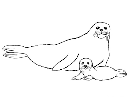 Check out some of our favorite antarctic animals coloring pages. Free Printable Arctic Animals Coloring Pages Coloring Home