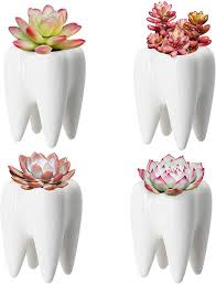 best gifts for dentists that ll put a