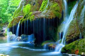 beautiful waterfall forest fall