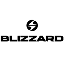 Résultat de recherche d'images pour "logo Blizzard"