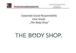 The Body Shop Organisational Structure Coursework Example