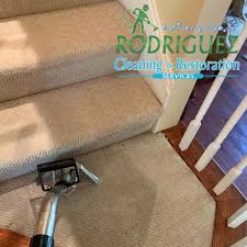 1 carpet rug cleaning company