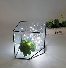 Glass Terrarium Mini Greenhouse