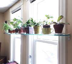 Small Green Plants Glass Shelf In