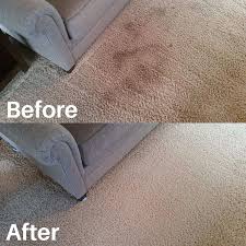 metro steamers carpet upholstery