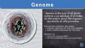 genome definition and exles